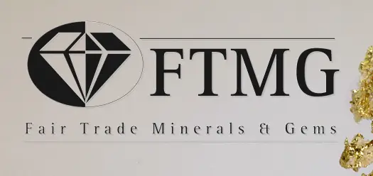 logo FTDM